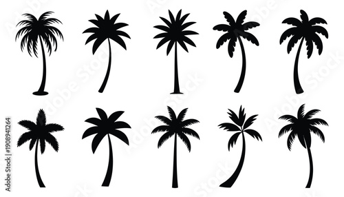 Palm silhouettes collection, coconut and date palm trees in different poses, tropical landscape graphics, paradise and holiday theme icons, minimal shadow style, clean professional vector design.
