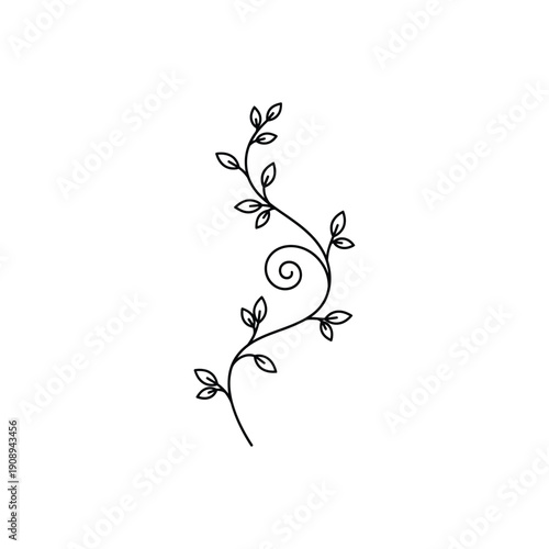 Minimalist Leafy Vine Line Art Elegant Botanical Branch Design On white Background