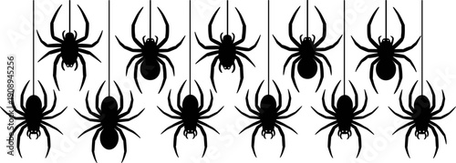 Spider silhouette set hanging on web strings, spooky black widow spiders for Halloween decoration, creepy insect vector illustration collection.