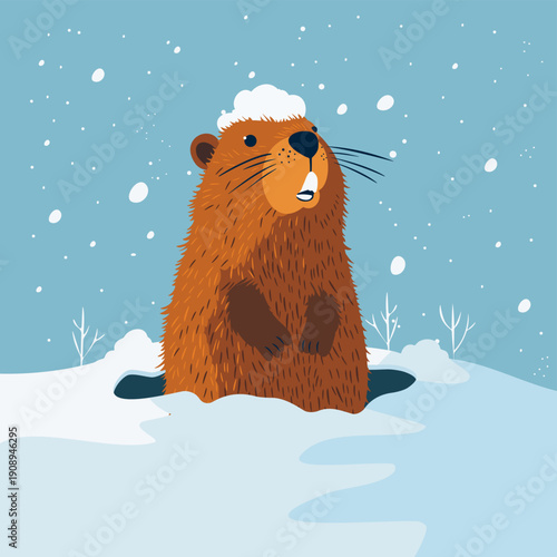 Curious groundhog looking out from a hole in the ground or burrow in the snow during winter. Cute animal character in nature for weather prediction, change of season and the announcement of spring
