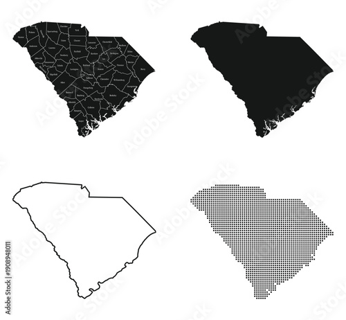 vector illustration of South Carolina map