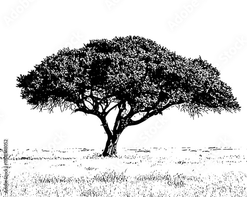 Majestic tree standing alone in open field with sprawling branches
