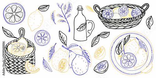 A colorful sketch of lemons branches baskets and a bottle of oil