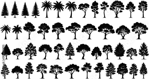 Diverse collection of tree silhouettes including pine, palm, oak, and deciduous trees for nature and landscape design.