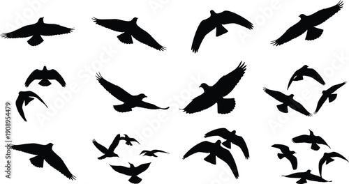 Set of flying bird silhouettes, black eagles hawks and doves, vector illustration collection isolated on white background, wild animal wings, nature freedom design.