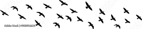 Flock of flying birds silhouettes, black vector illustration, migrating avian group nature sky design element isolated on white background, freedom concept art.