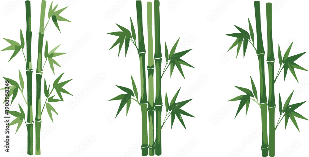 Fototapeta premium Green bamboo plant collection vector illustration set isolated on background, natural tropical foliage design elements for decoration and eco theme