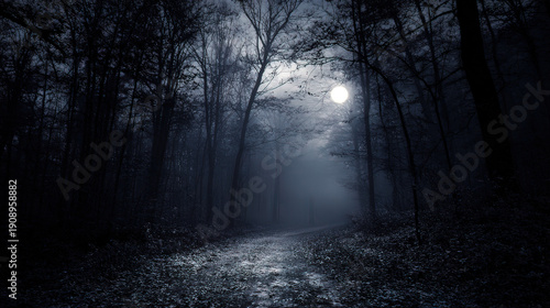 cryptographer. A misty forest path at night with moonlight filtering through silhouetted trees and atmospheric fog. travel magazines, destination branding, designed for travel destination branding.
