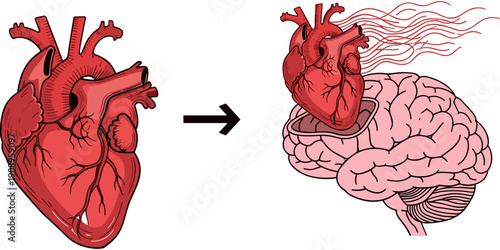 Human heart moving into a brain, conceptual illustration of emotional intelligence, logic vs emotion, and mental health connection.