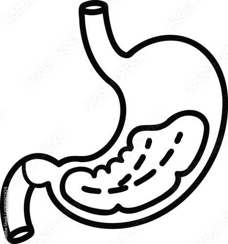 A detailed illustration of the human kidneys showing the complex internal structure and major blood vessels
