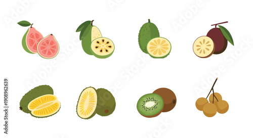 A colorful set of various fresh and exotic tropical fruits including guava kiwi and longan shown whole and cut in half.