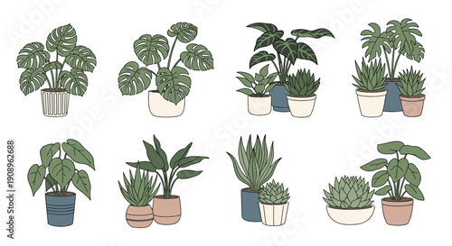A beautiful collection of various hand-drawn indoor houseplants in decorative pots including monstera and aloe vera for interior design.