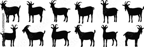 PrintGoat silhouettes collection, animal posture variations, horn shapes, livestock design, farm animal illustration, black vector, nature artwork