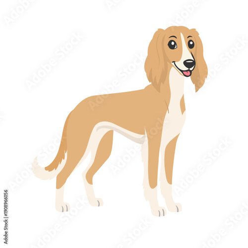 Adorable Saluki dog vector illustration in cartoon style, isolated on a light background. Full body standing pose of a graceful Middle Eastern sighthound breed with long ears and slim body. Ideal for 
