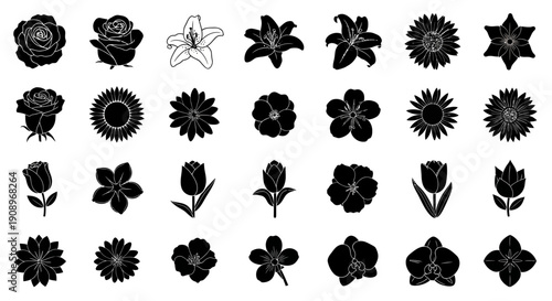 Black and White Flower Silhouettes Vector Set