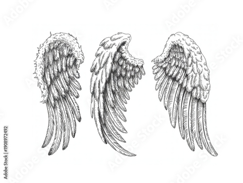Set of three hand drawn sketch angel wings, for religious or mythological spiritual design concepts