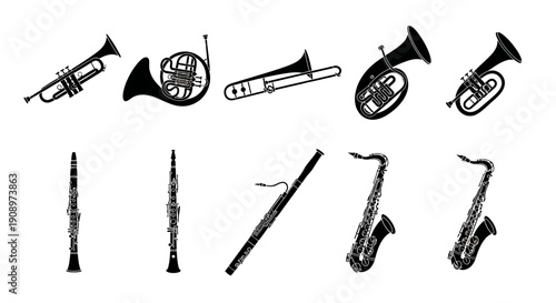 Brass and Woodwind Instruments Collection