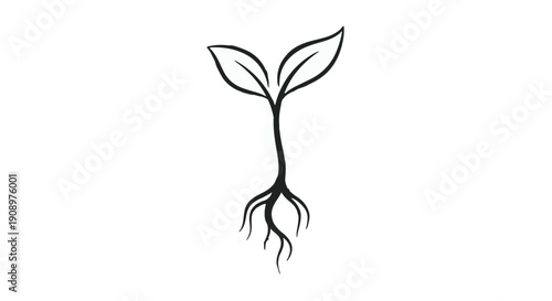 Simple illustration of a young plant with roots and leaves, symbolizing growth and new beginnings.