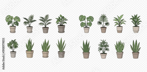 Set of various potted house plants and succulents for home decoration.