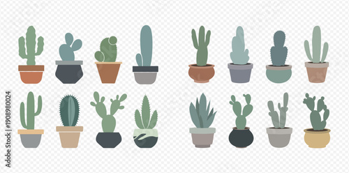 Collection of various potted cacti and succulents in flat design style, isolated on transparent background.