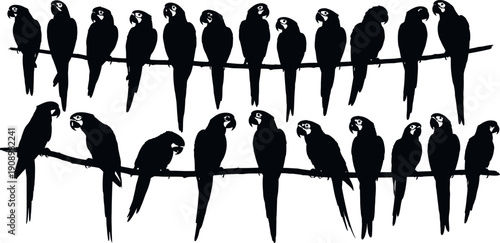 Silhouette of parrots on branches in two rows