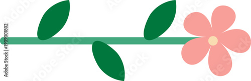 꽃 장식 구분선 라인