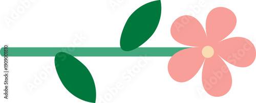 꽃 장식 구분선 라인