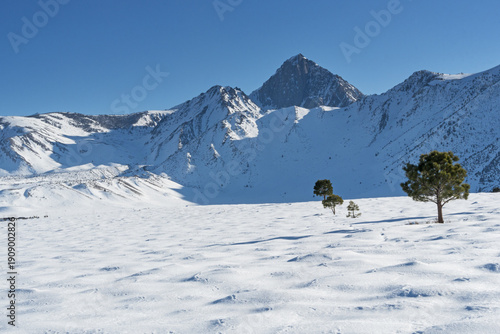 Mount Morrison Rises Above A Snowy Field