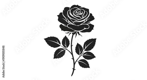 Elegant Rose Silhouette: Floral Design for Prints and Graphics