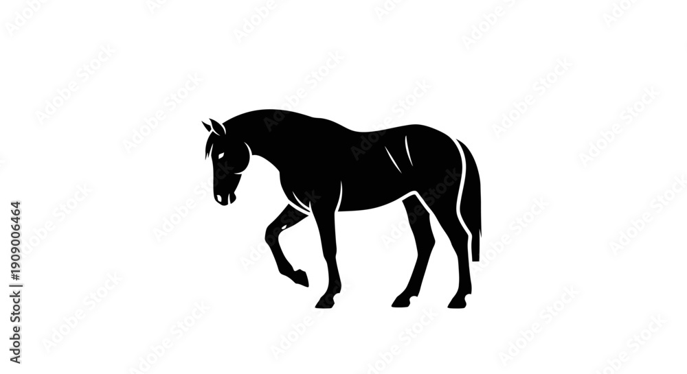 Fototapeta premium Black horse silhouette walking alone.
