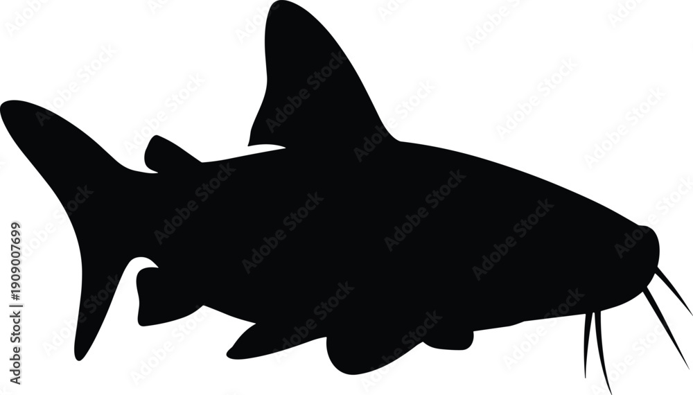 Fototapeta premium Catfish silhouette with long barbels and forked tail, isolated black outline design for aquatic life education, ichthyology, logos, and creative stock photography projects