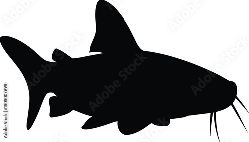 Catfish silhouette with long barbels and forked tail, isolated black outline design for aquatic life education, ichthyology, logos, and creative stock photography projects