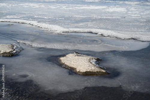 凍結した諏訪湖