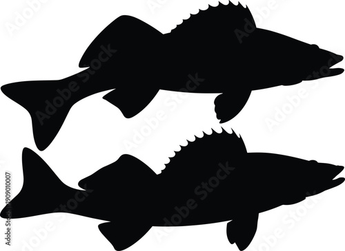 Two fish silhouettes with spiny dorsal fins and forked tails, isolated black outline design for aquatic life education, fishing guides, logos, and stock photography projects