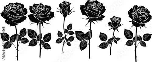 Black rose silhouette collection with stems leaves and buds floral botanical set isolated on white background elegant decorative design