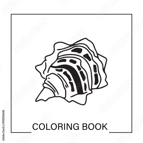 Handrawn Underwater ocean shells outline