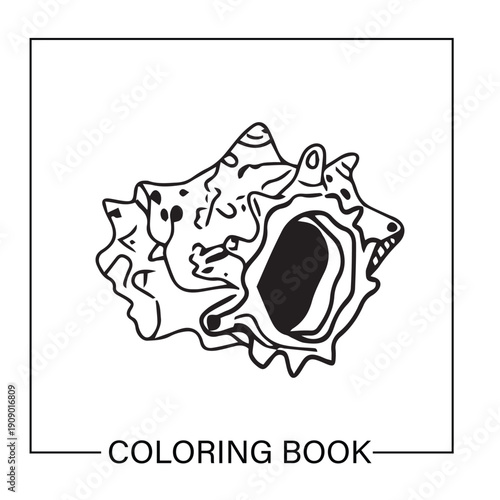 Simple outline for shell. Underwater ocean shells outline minimalist retro illustrations set. Seashells vector doodles