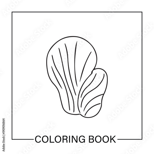 Simple outline for shell. Underwater ocean shells outline minimalist retro illustrations set. Seashells vector doodles