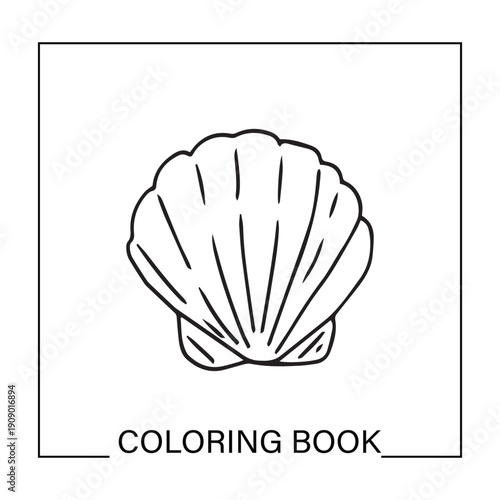 Simple outline for shell. Underwater ocean shells outline minimalist retro illustrations set. Seashells vector doodles