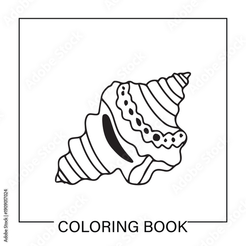 Underwater ocean shells outline minimalist retro illustrations