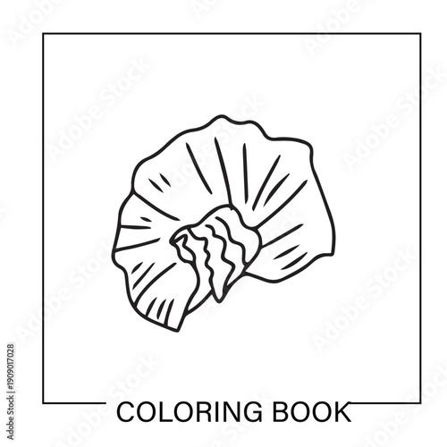 Underwater ocean shells outline minimalist retro illustrations