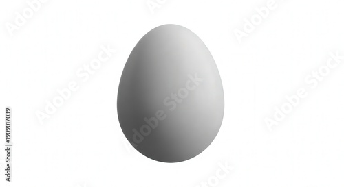 Simple White Egg with Smooth Surface and Natural Shape for Dietary or Culinary Themes