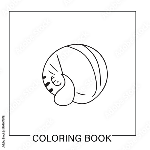 Underwater ocean shells outline minimalist retro illustrations