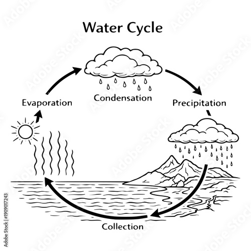 Water cycle diagram with evaporation condensation precipitation and collection