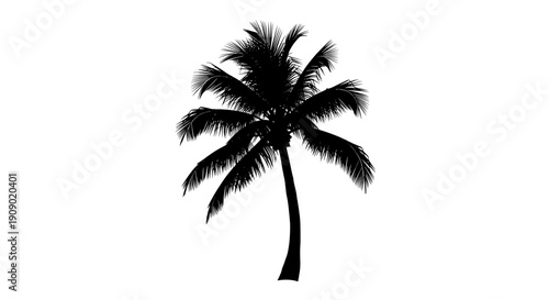 A black silhouette of a palm tree against a white background