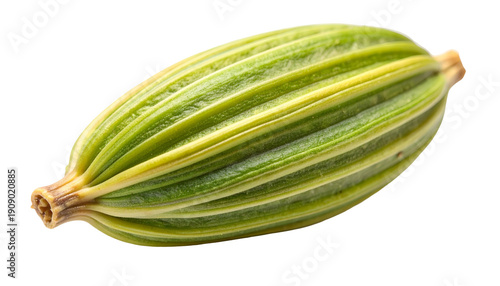 Wallpaper Mural Isolated close-up of a fennel seed with prominent ribbed texture, set against a transparent background Torontodigital.ca