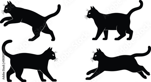 Cat silhouette collection with walking jumping running poses, black domestic feline outline set isolated on white background for design, decoration, illustration