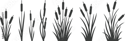 Cattail reeds silhouette collection, bulrush marsh plants isolated on white background for wetland nature design, botanical decoration, logo branding and eco illustration