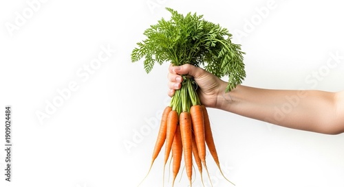 A hand holds a bunch of carrots with green tops against a white background