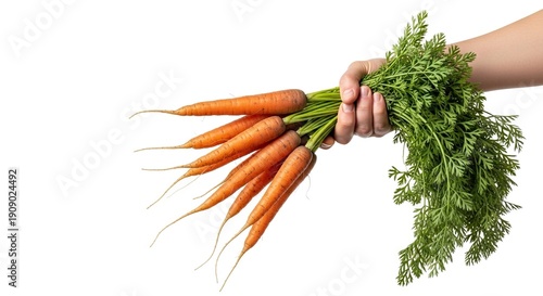 A hand holds a bunch of vibrant carrots with leafy greens against a clean white backdrop